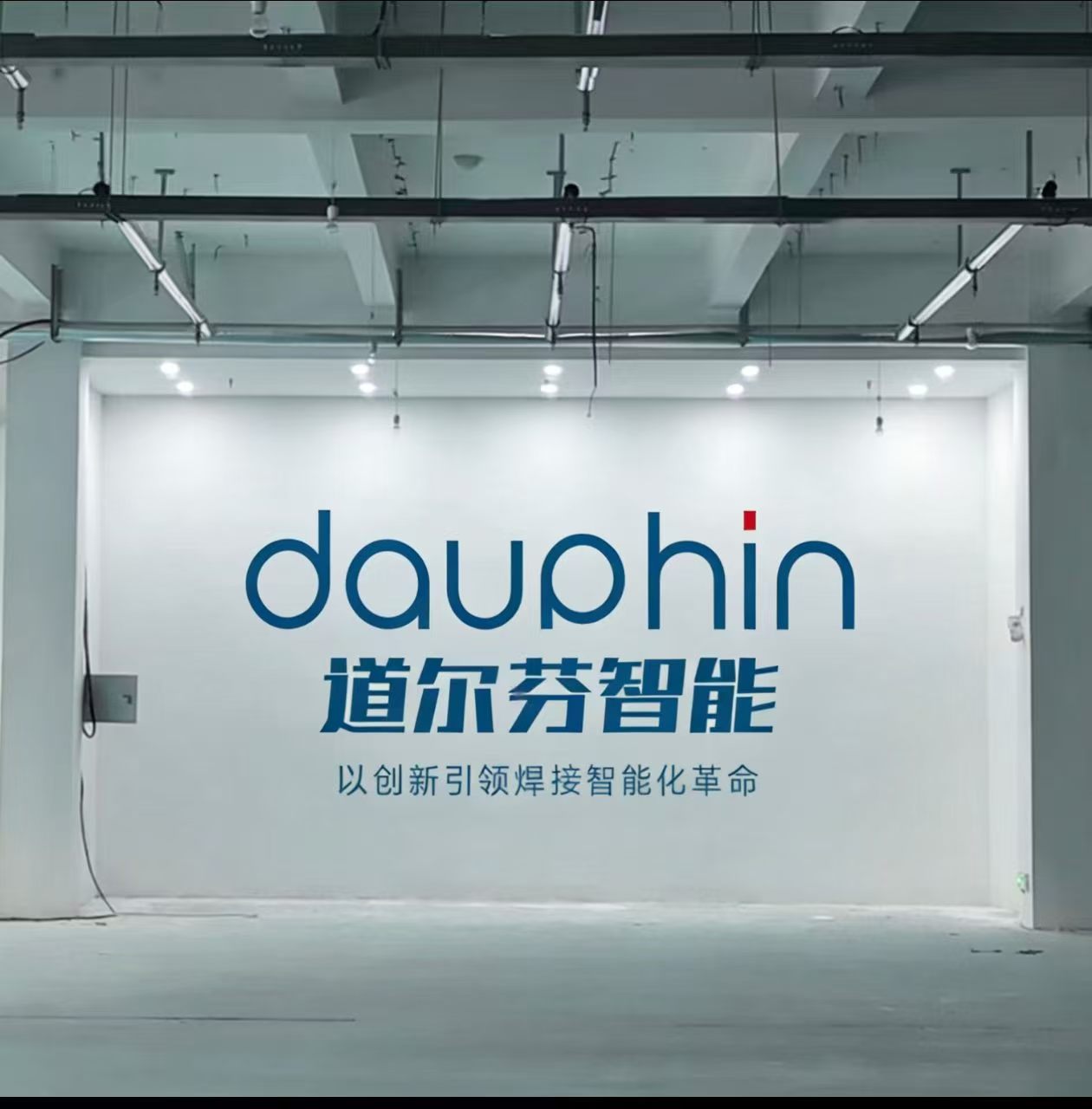 Daophin workshop brand wall